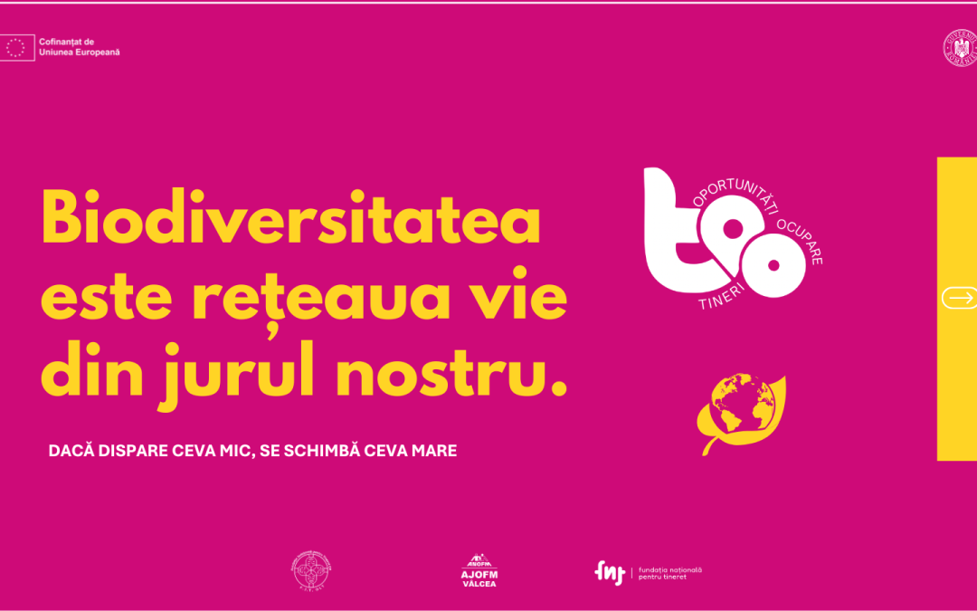 Spații verzi: rețeaua vie din jurul tău și ce o strică