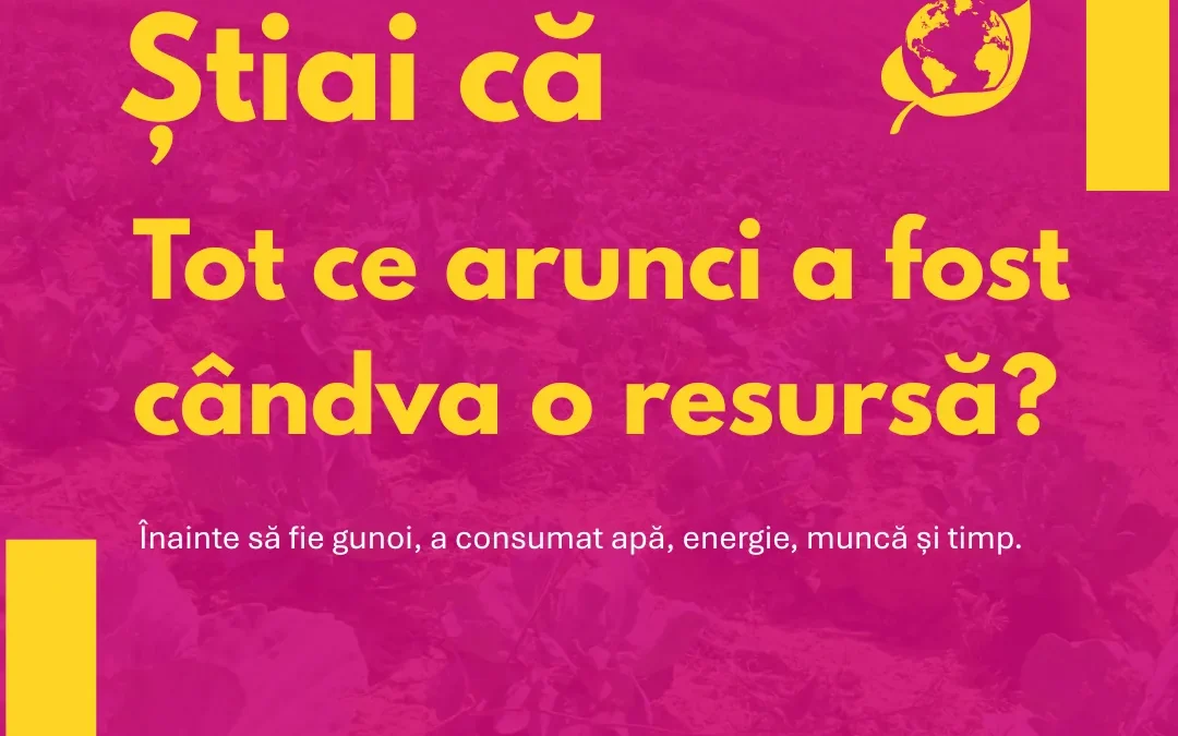 Tot ce arunci a fost cândva o resursă?