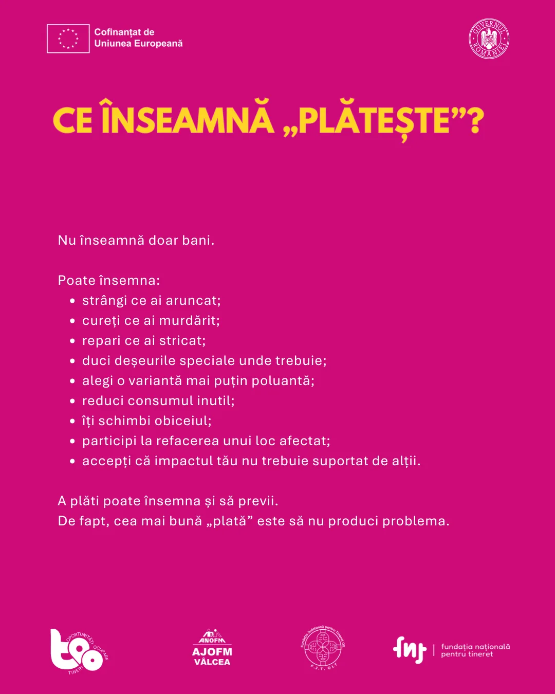 Ce înseamnă a plăti: să strângi, să cureți, să repari, să duci deșeurile speciale unde trebuie