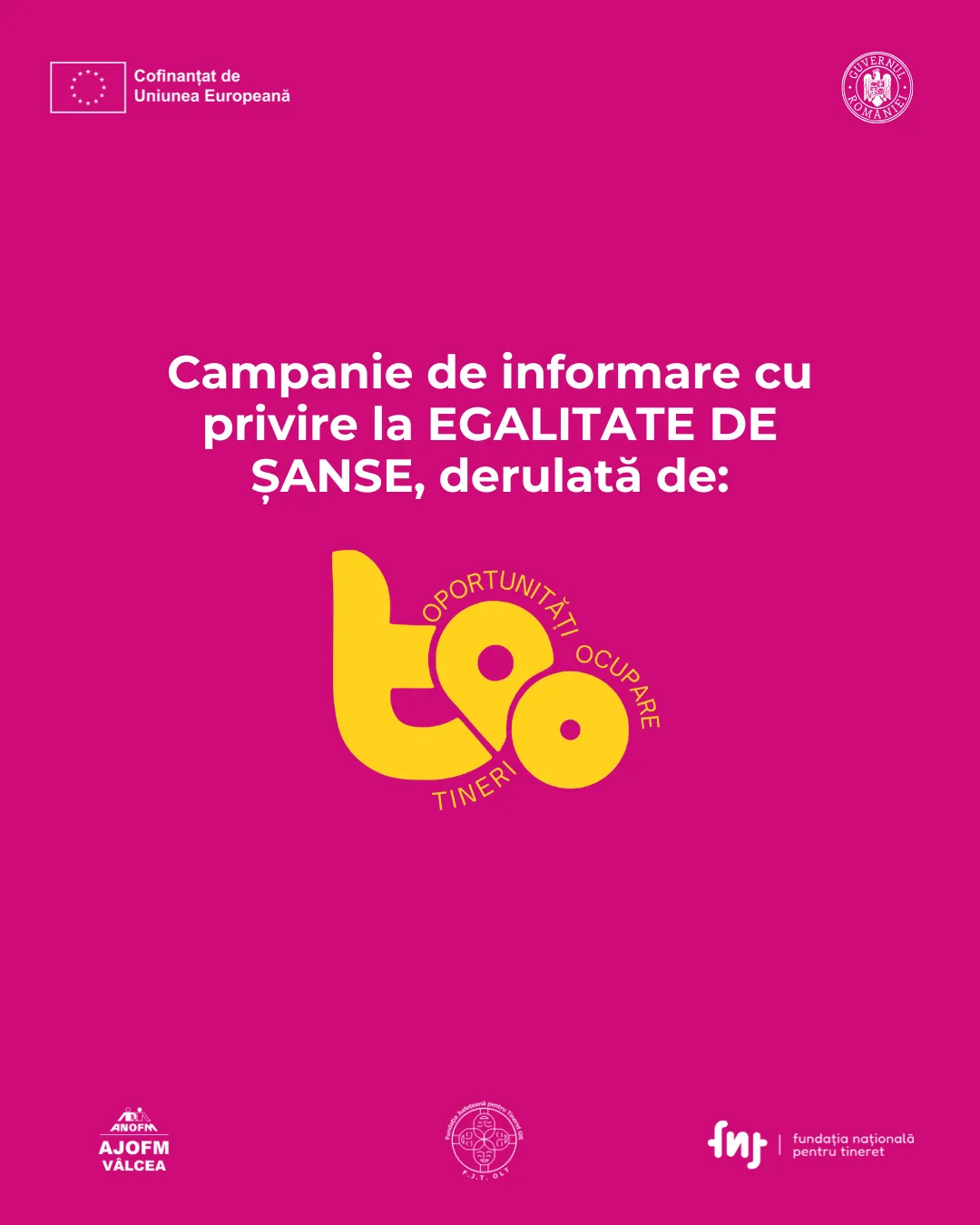 Imagine de încheiere a campaniei de informare despre egalitatea de șanse derulată de TOO, cu logo-urile partenerilor.